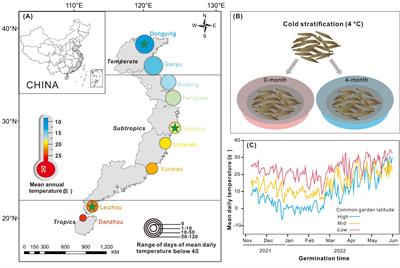 Warming altered the effect of cold stratification on the germination of Spartina alterniflora across climatic zones in its invasive range